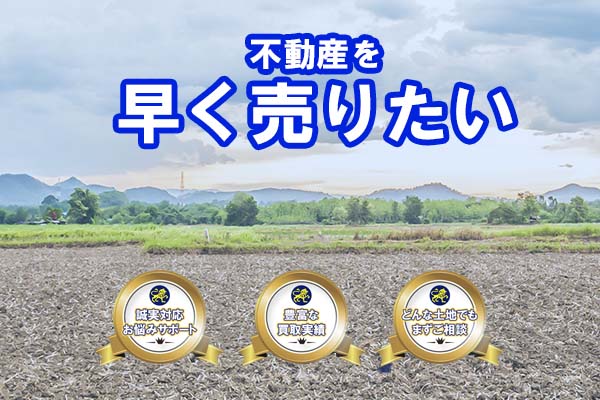 サンプルイメージ