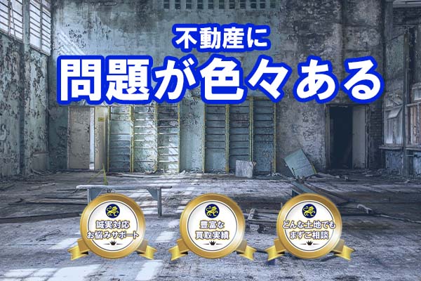 サンプルイメージ