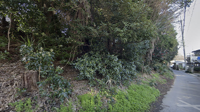 サンプルイメージ