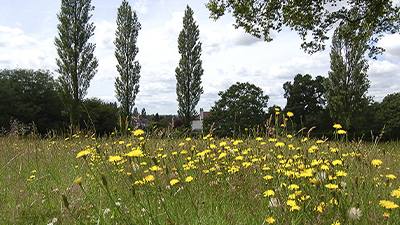 市街化調整区域