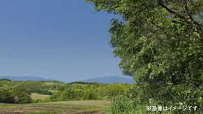 サンプルイメージ