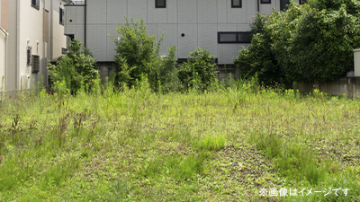 サンプルイメージ