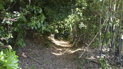 サンプルイメージ