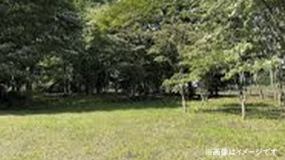 サンプルイメージ