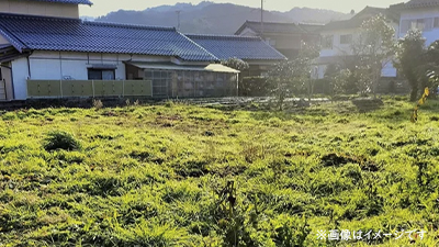サンプルイメージ