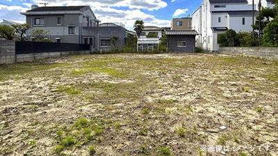 サンプルイメージ