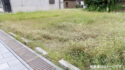 サンプルイメージ