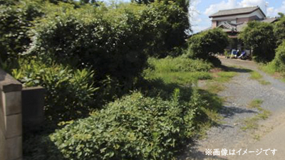 サンプルイメージ