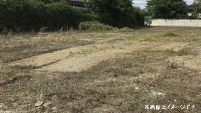 サンプルイメージ