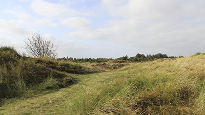 サンプルイメージ