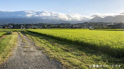 サンプルイメージ